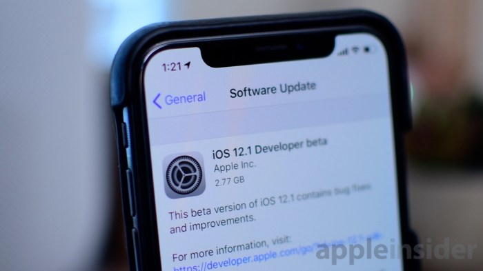 Apple ios 12 1 1 update facetime