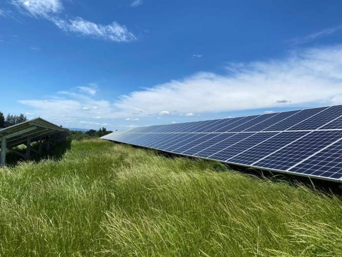 How community solar works