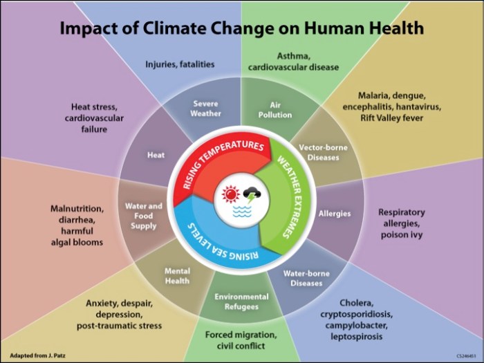Health care pollution climate change