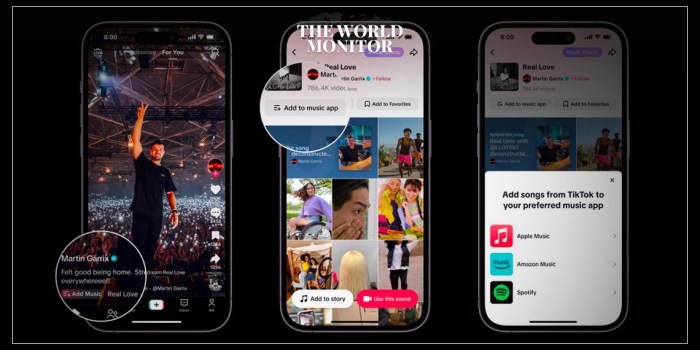 Tiktok questions and answers qa feature live pre recorded