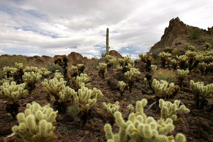 Trump national monuments utah bears ears grand staircase escalante cuts