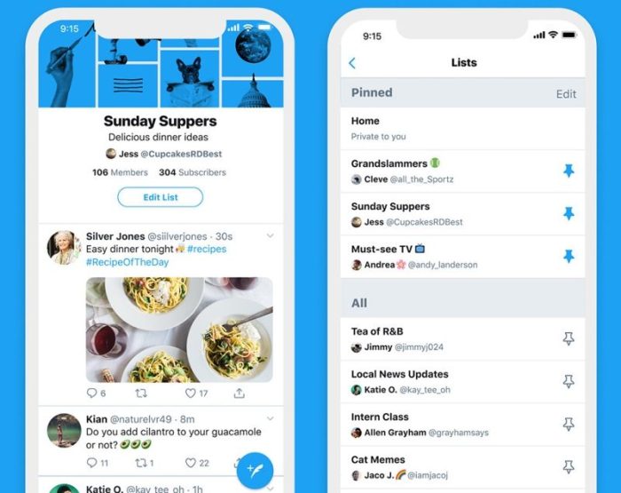 Twitter lists alternative timeline swipe feeds pinned follow people feature update