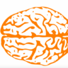 Maintain your brain with these 6 mental fitness tips