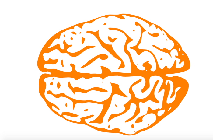 Maintain your brain with these 6 mental fitness tips