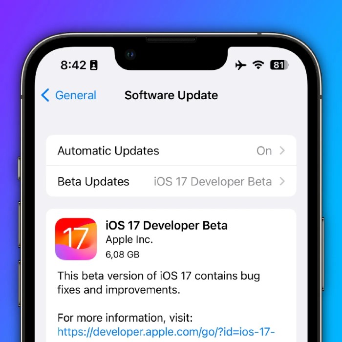 Ios 14 developers iphone surprise release golden master beta development