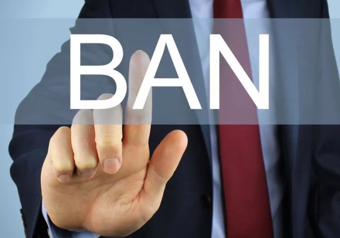 Indonesia bans access steam epic games paypal yahoo