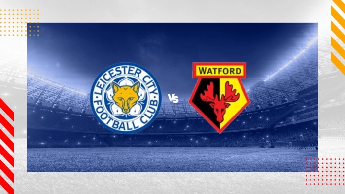 How watch watford vs leicester live stream