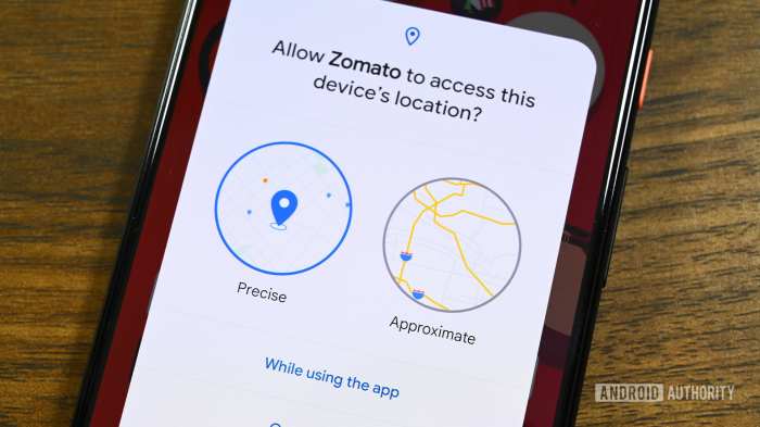 How grant approximate location access apps android 12