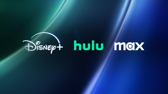 Disney plus hulu one app experience announcement