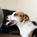 Easy energy saving tips that actually make a difference