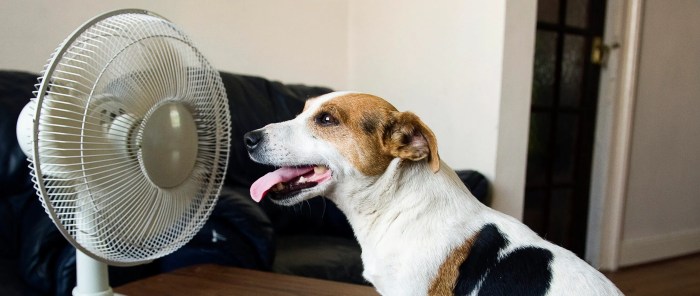 Easy energy saving tips that actually make a difference