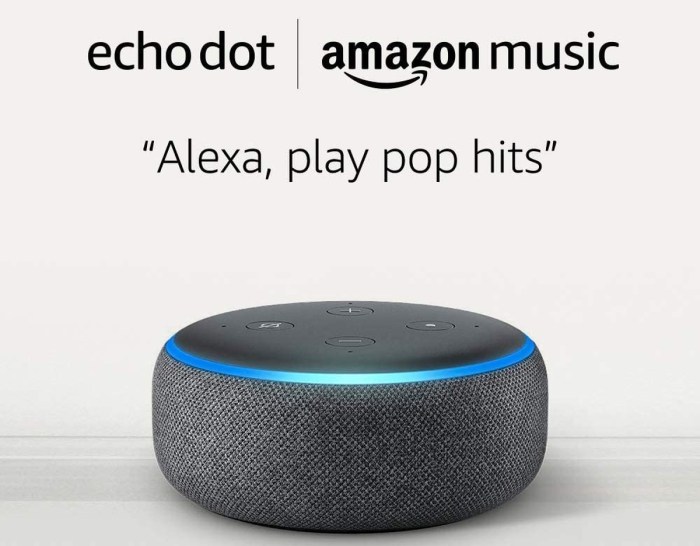 Echo unlimited If youre new amazon music unlimited get 2 months and echo dot just 17