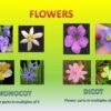 Evolution seed evolutionary angiosperm gymnosperm seeds parts plant biology de hyperlinks corresponding hotspots navigate section figure click choose board