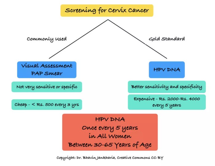 Hpv cervical cancer test at home