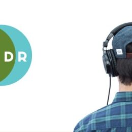 Ai song mastering landr multiple styles