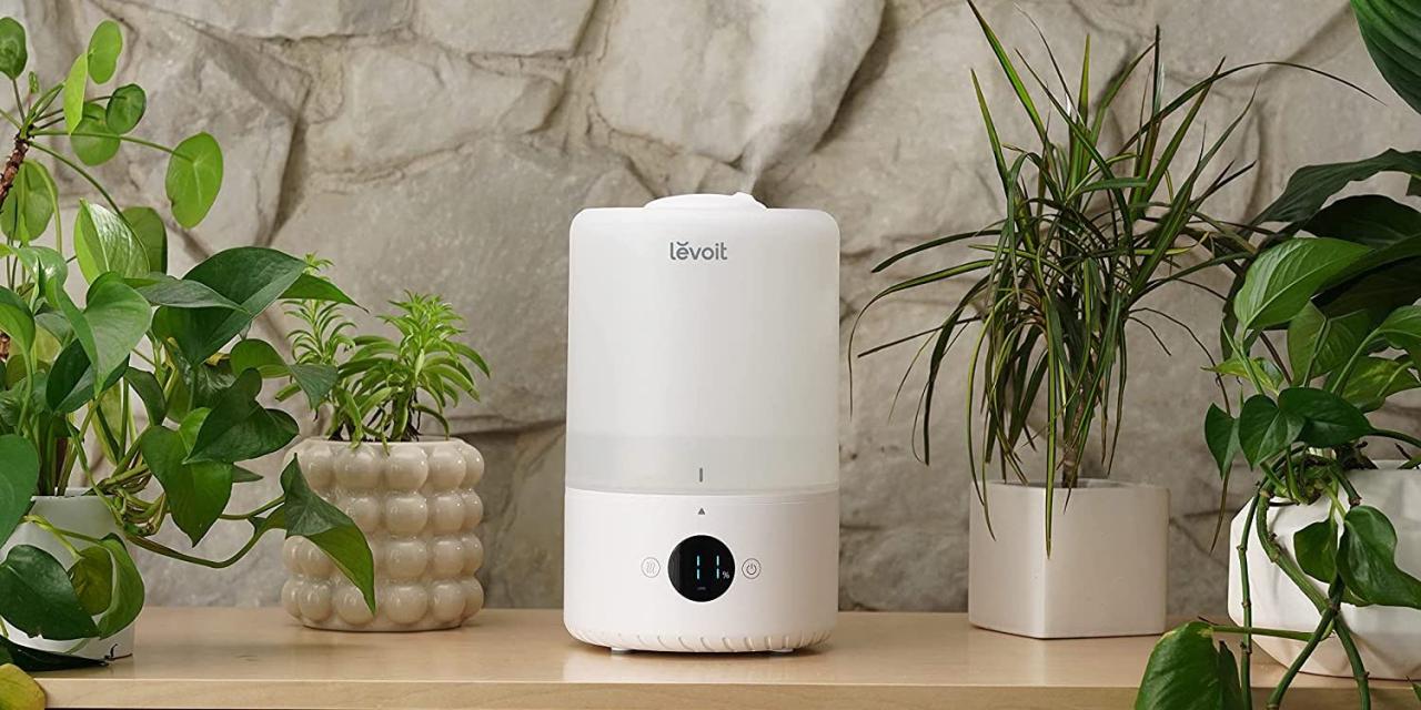 Our favorite levoit vacuum is 150 at amazon but its big brother is even less