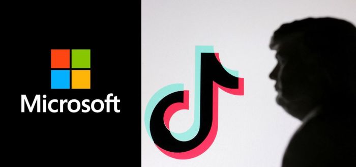 Microsoft in Talks for TikTok Acquisition - Parhlo Twitter and tiktok acquisition trump microsoft