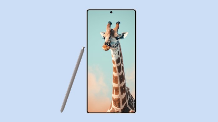 Samsung galaxy s25 plus vs iphone 16 plus