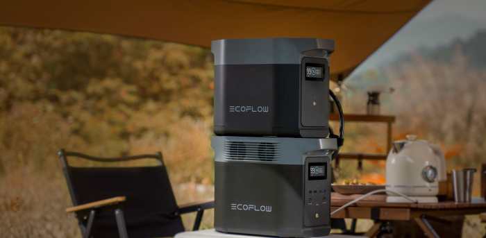 New low price ecoflows delta 2 portable power station is 360 with our exclusive code