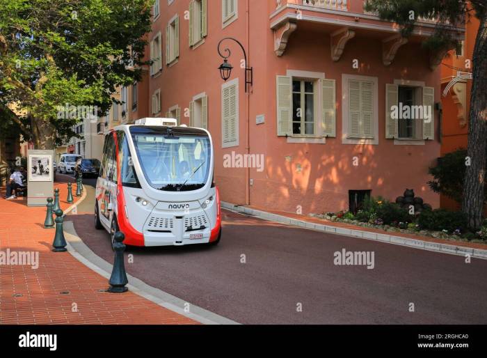 Navya self driving driverless bus vienna collision pedestrian