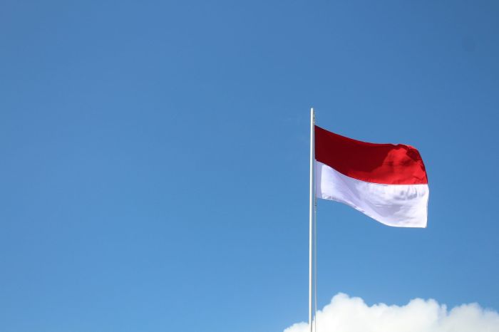 Indonesia bans access steam epic games paypal yahoo