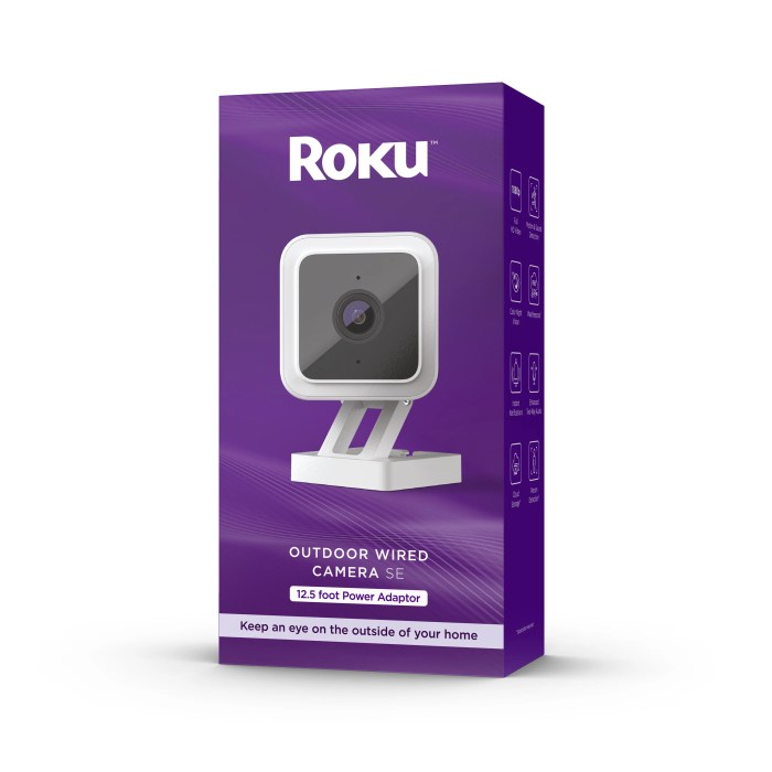 Roku le walmart black friday deal