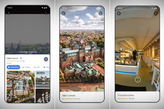 Google maps immersive aerial view neighborhood vibe live view search on