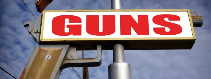 Guns firearms waiting periods brady act deaths homicides suicides study