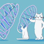 Cat gene study dna ancient