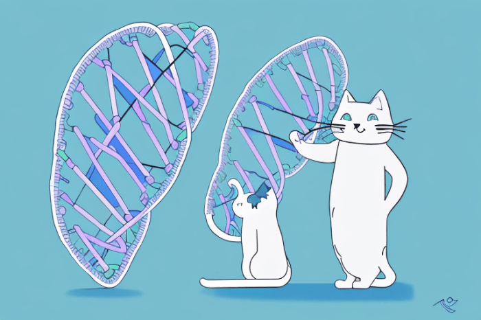 Cat gene study dna ancient