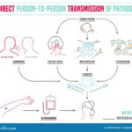 Coronavirus us transmission person to person first case reported illinois chicago
