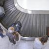 Airline luggage lost worst likely smartertravel mishandled baggage