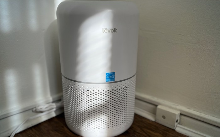 Our favorite levoit vacuum is 150 at amazon but its big brother is even less