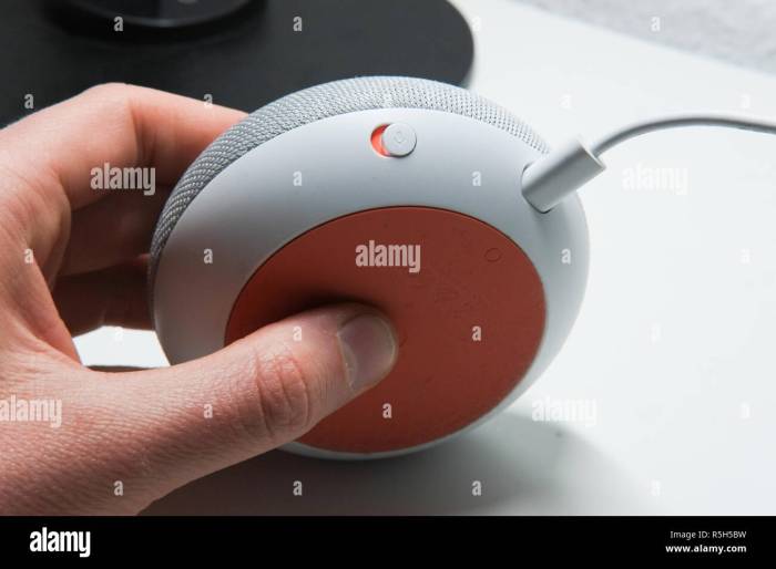 How mute google homes microphone and why you need