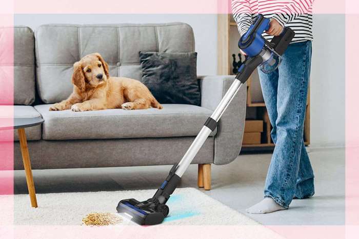 Pay just 80 and bag this bargain cordless stick vacuum saving 110