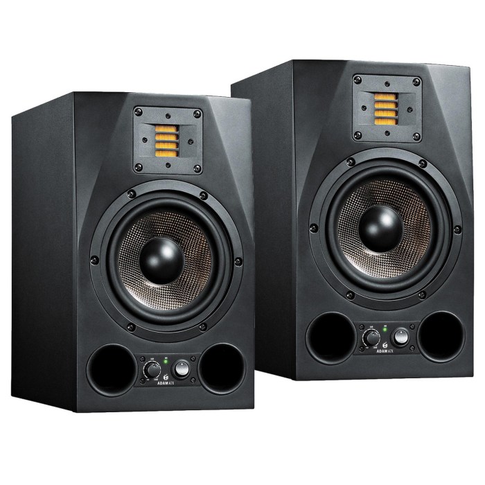 Shinola speakers studio quality
