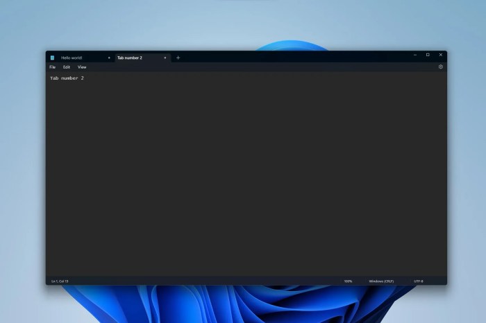 Windows 11 notepad ai summaries snipping tool