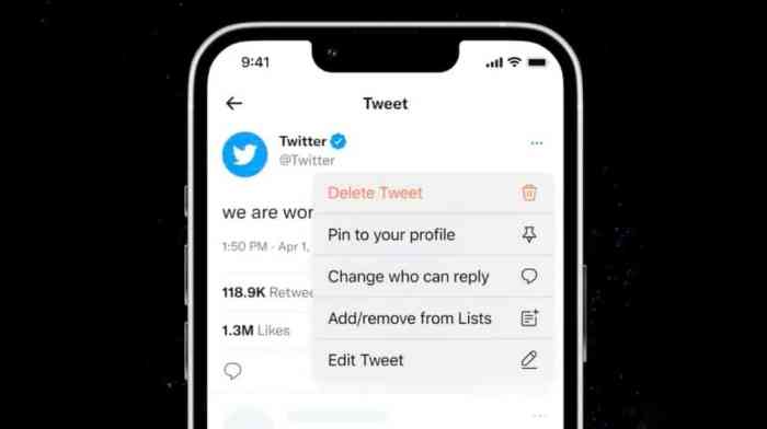 Twitter edit button blue test