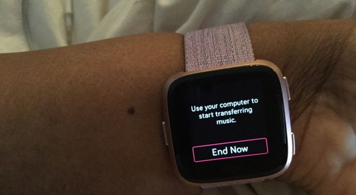 Fitbit pc syncing and music transfer feature going away