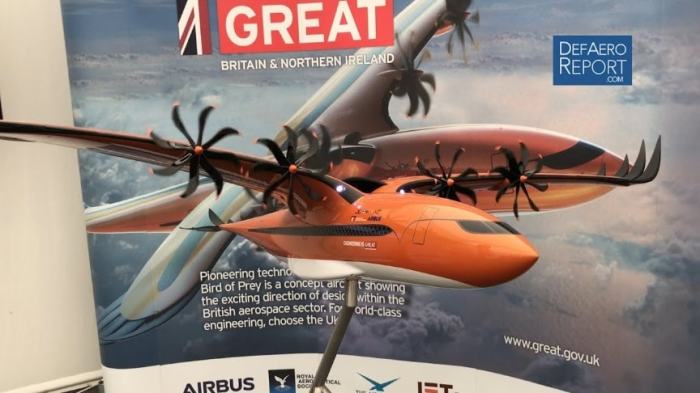 Bird prey boeing prototype fighter stealth aircraft jet works phantom worthy klingon empire monster was indigenously advanced built military work Airbus bird of prey plane hybrid concept