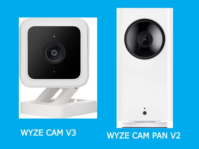 Wyze cam vs yi cam