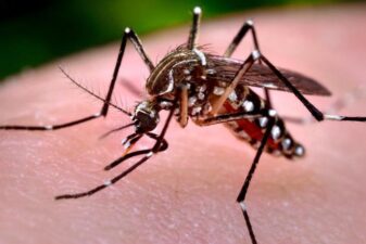 Zika florida cdc travel warning miami
