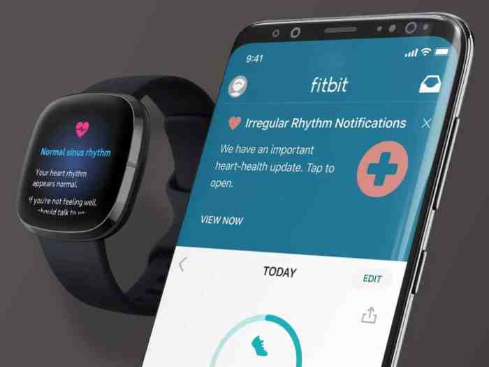 Fitbit fda clearance for afib detection feature