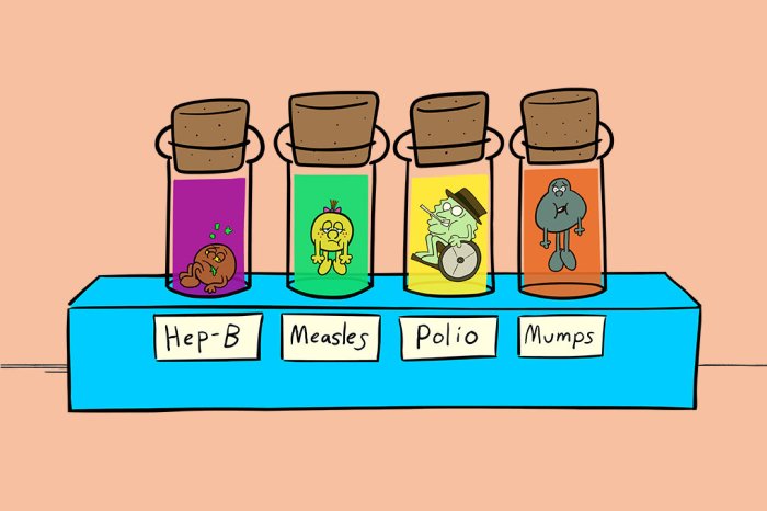 No measles in us canada mexico mmr vaccine