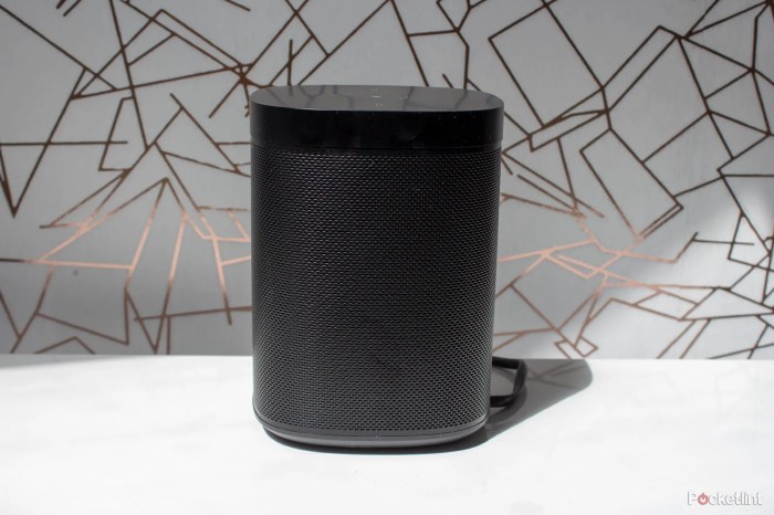 Sonos speaker sl one wireless