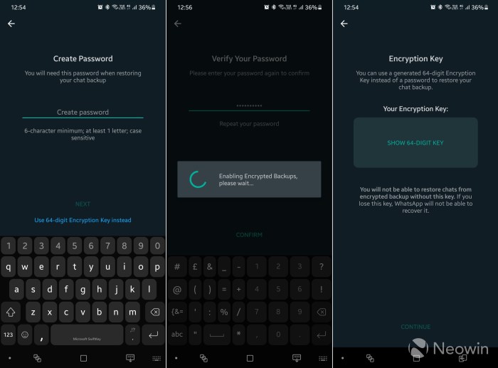 Elcomsoft whatsapp decrypting method backups blog extractor Whatsapp cloud backups icloud google drive password encryption security