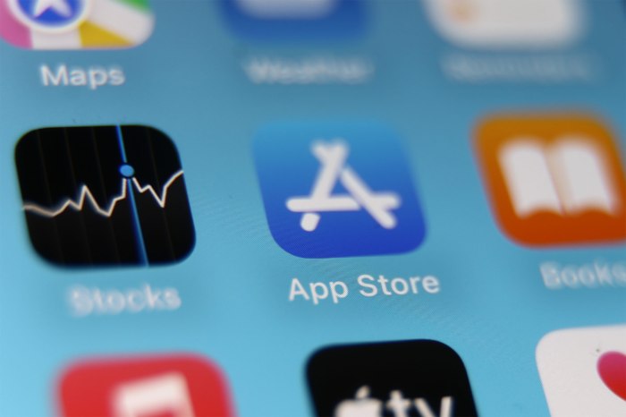 Apple app store policies purchases cut fees change class action