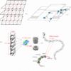 Soft robot muscles origami skeleton mit harvard