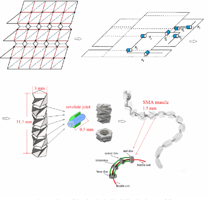 Soft robot muscles origami skeleton mit harvard