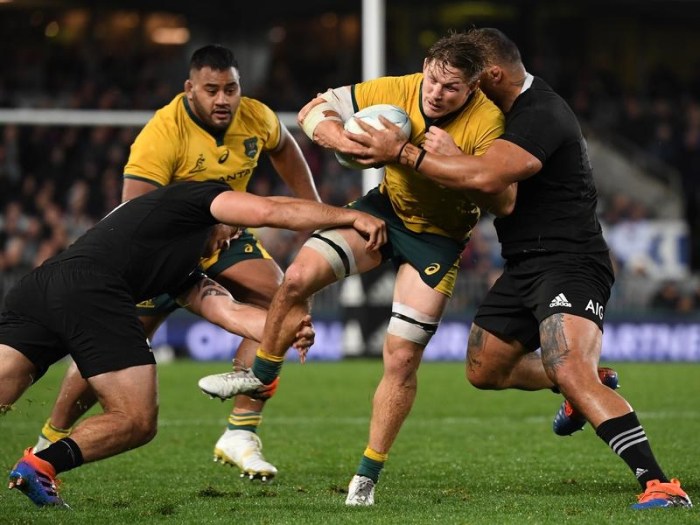 Bledisloe wellington expect eden attendance crowd sky How watch new zealand vs australia bledisloe cup game 2 anywhere